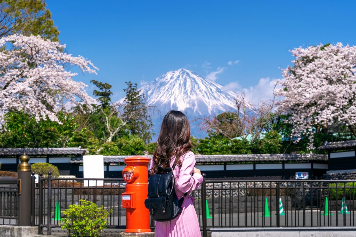 tourist-looking-fuji-mountain-cherry-blossom-spring-fujinomiya-japan